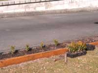 Potage Garden - Before