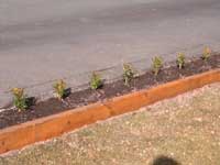 Potage Garden - During