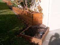 Potage Garden - During