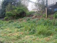 Weedmat and Fencing - Before