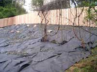 Weedmat and Fencing - During