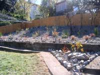 Weedmat and Fencing - After