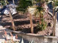Gate and Fence - During