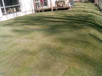Rolled Lawn - Finished