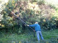 High Pruning