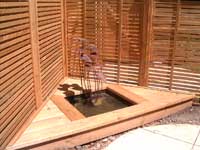 Water Feature