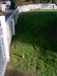 Original Fence