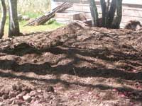 Large Garden - Preparation and Work